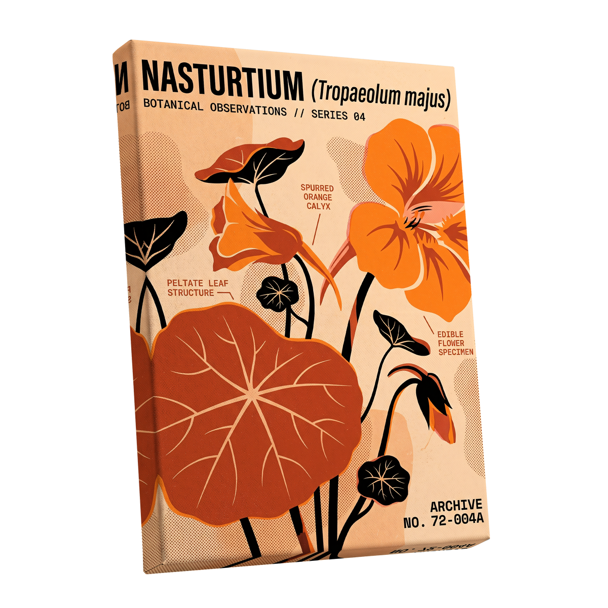Nasturtium Field Notes, orange, beige, black floral wall art shown as a stretched canvas wall art