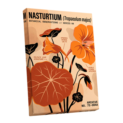 Nasturtium Field Notes, orange, beige, black floral wall art shown as a stretched canvas wall art