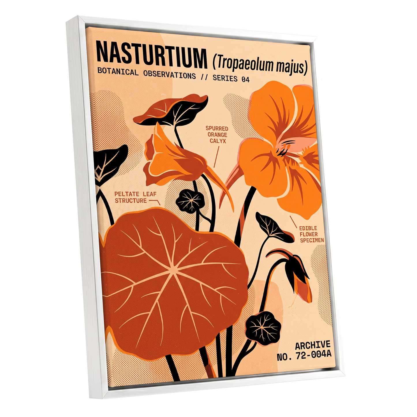 Nasturtium Field Notes, orange, beige, black floral wall art shown as a white framed canvas wall art