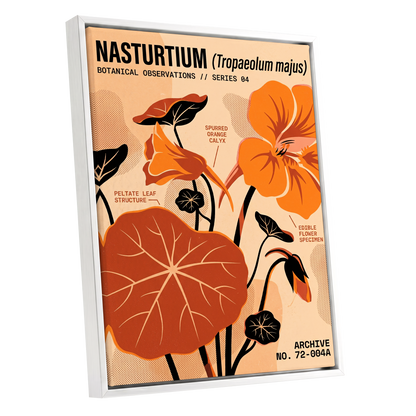 Nasturtium Field Notes, orange, beige, black floral wall art shown as a white framed canvas wall art