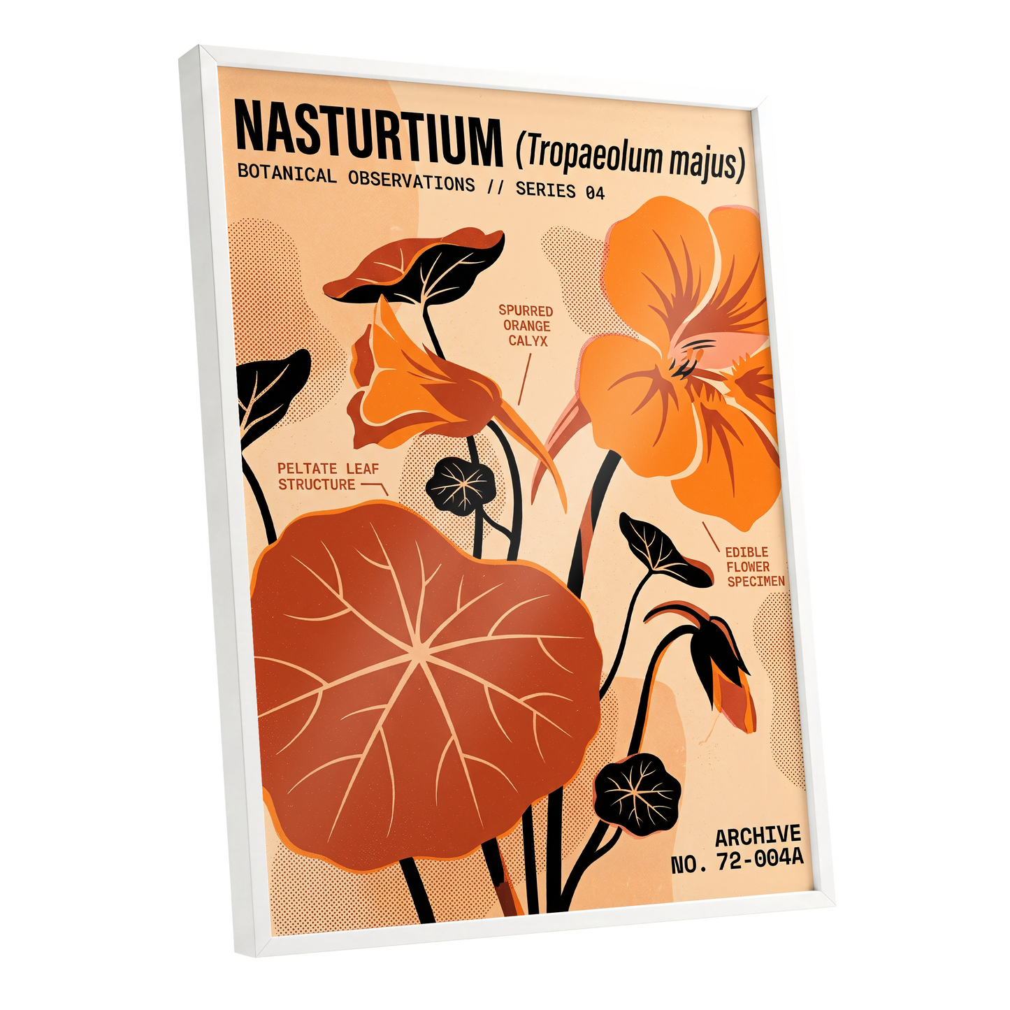 Nasturtium Field Notes, orange, beige, black floral wall art shown as a white framed poster wall art print