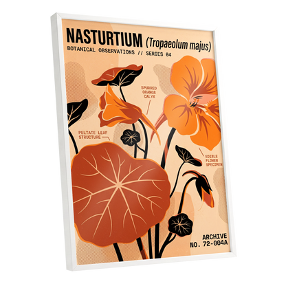 Nasturtium Field Notes, orange, beige, black floral wall art shown as a white framed poster wall art print