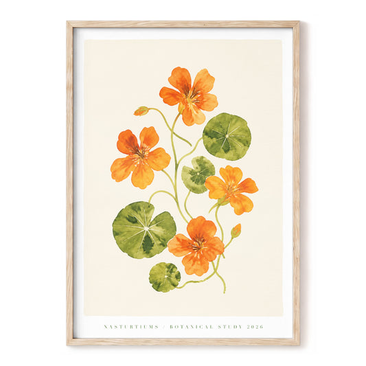 Nasturtium Reverie, orange, green, beige floral wall art, front artwork view