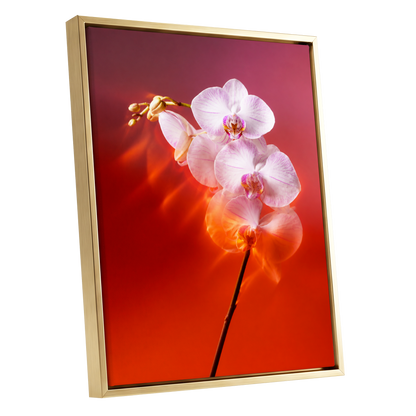 Orchid Ember, white, pink, red floral wall art shown as a gold framed canvas wall art
