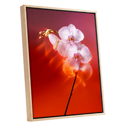 Orchid Ember, white, pink, red floral wall art shown as a oak framed canvas wall art
