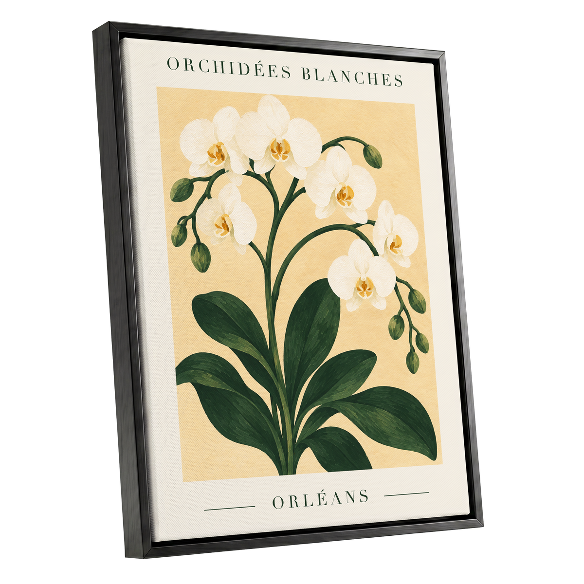 Orléans Orchid Bloom, white, green, beige floral wall art shown as a black framed canvas wall art