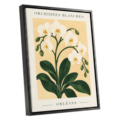 Orléans Orchid Bloom, white, green, beige floral wall art shown as a black framed canvas wall art