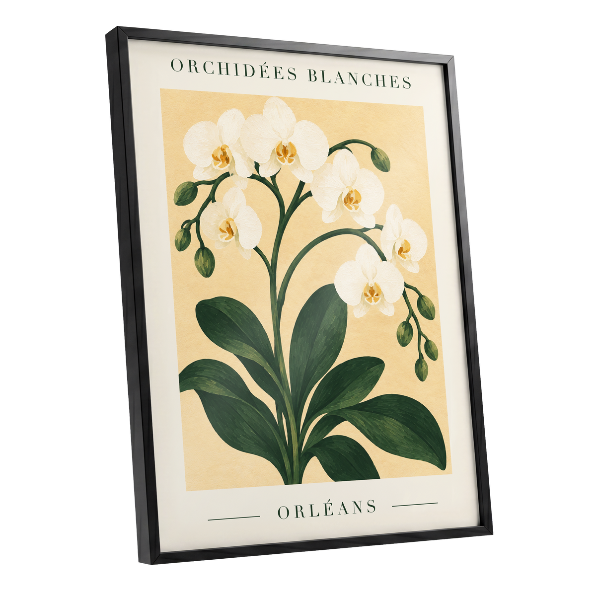Orléans Orchid Bloom, white, green, beige floral wall art shown as a black framed poster wall art print