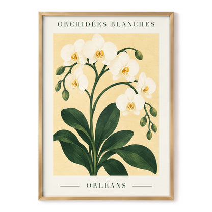 Orléans Orchid Bloom, white, green, beige floral wall art, front artwork view