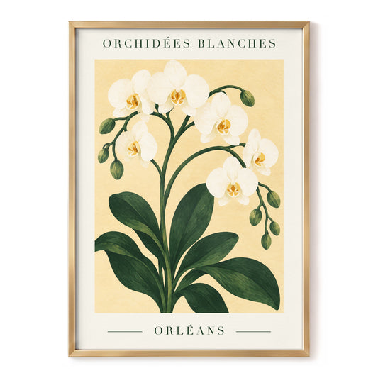 Orléans Orchid Bloom, white, green, beige floral wall art, front artwork view