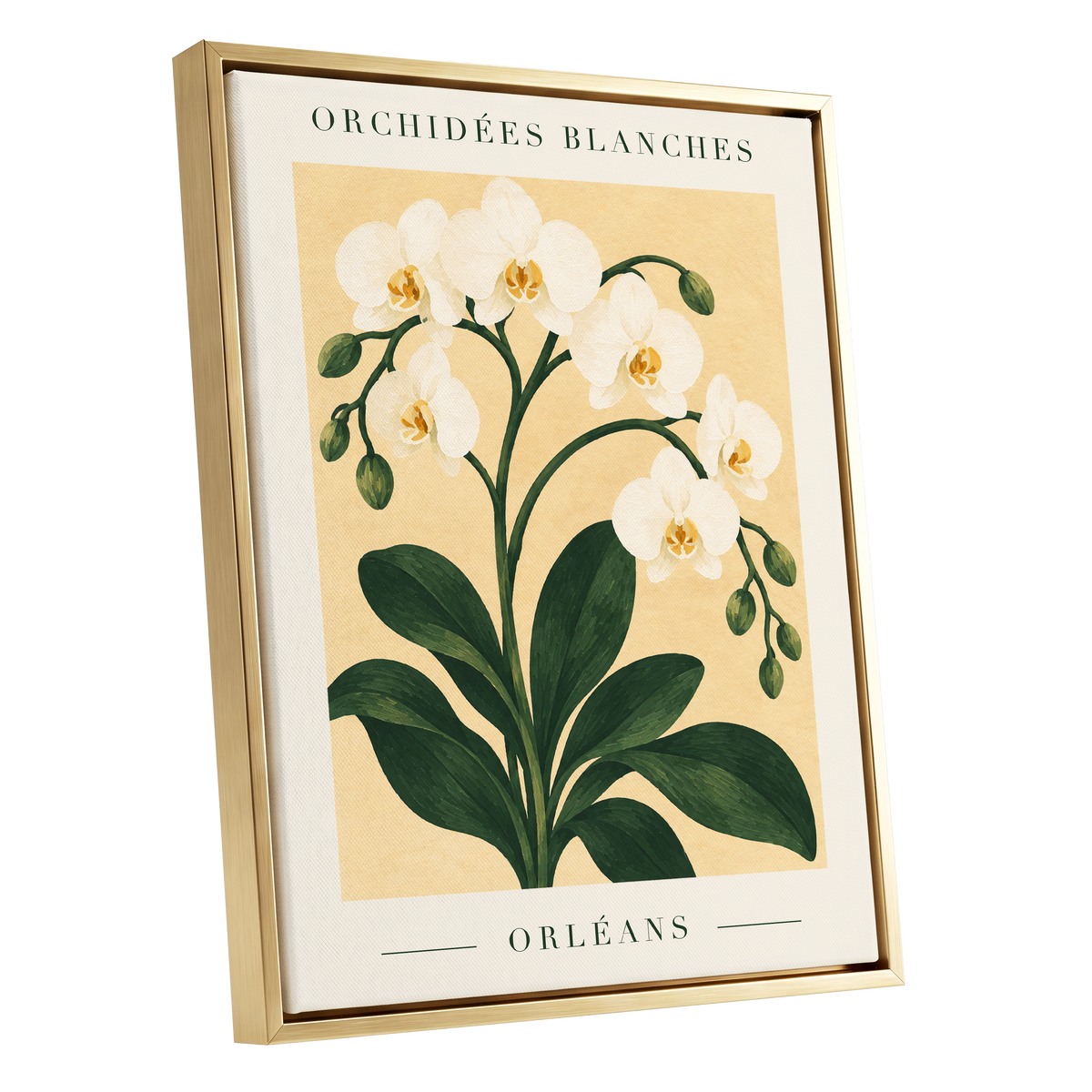Orléans Orchid Bloom, white, green, beige floral wall art shown as a gold framed canvas wall art