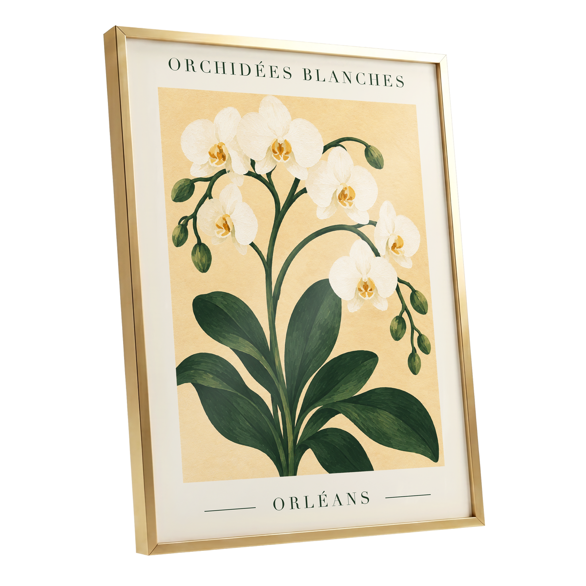 Orléans Orchid Bloom, white, green, beige floral wall art shown as a gold framed poster wall art print