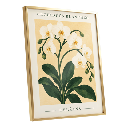 Orléans Orchid Bloom, white, green, beige floral wall art shown as a gold framed poster wall art print