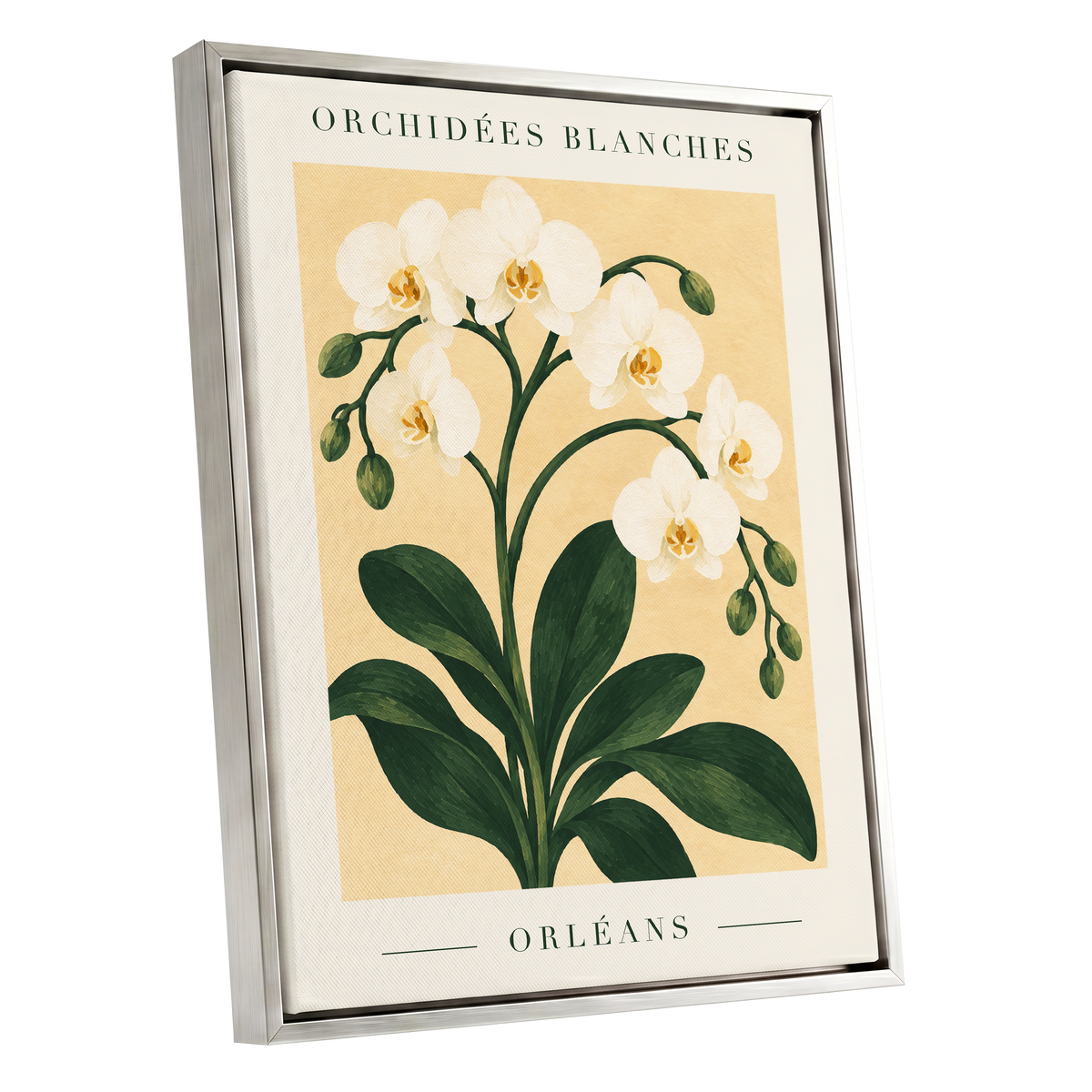 Orléans Orchid Bloom, white, green, beige floral wall art shown as a silver framed canvas wall art