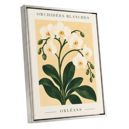 Orléans Orchid Bloom, white, green, beige floral wall art shown as a silver framed canvas wall art