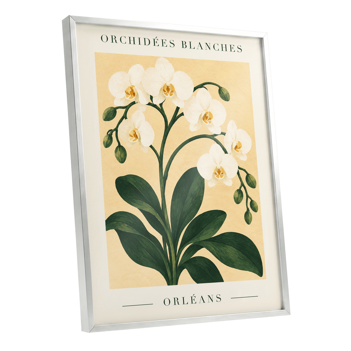 Orléans Orchid Bloom, white, green, beige floral wall art shown as a silver framed poster wall art print