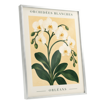 Orléans Orchid Bloom, white, green, beige floral wall art shown as a silver framed poster wall art print