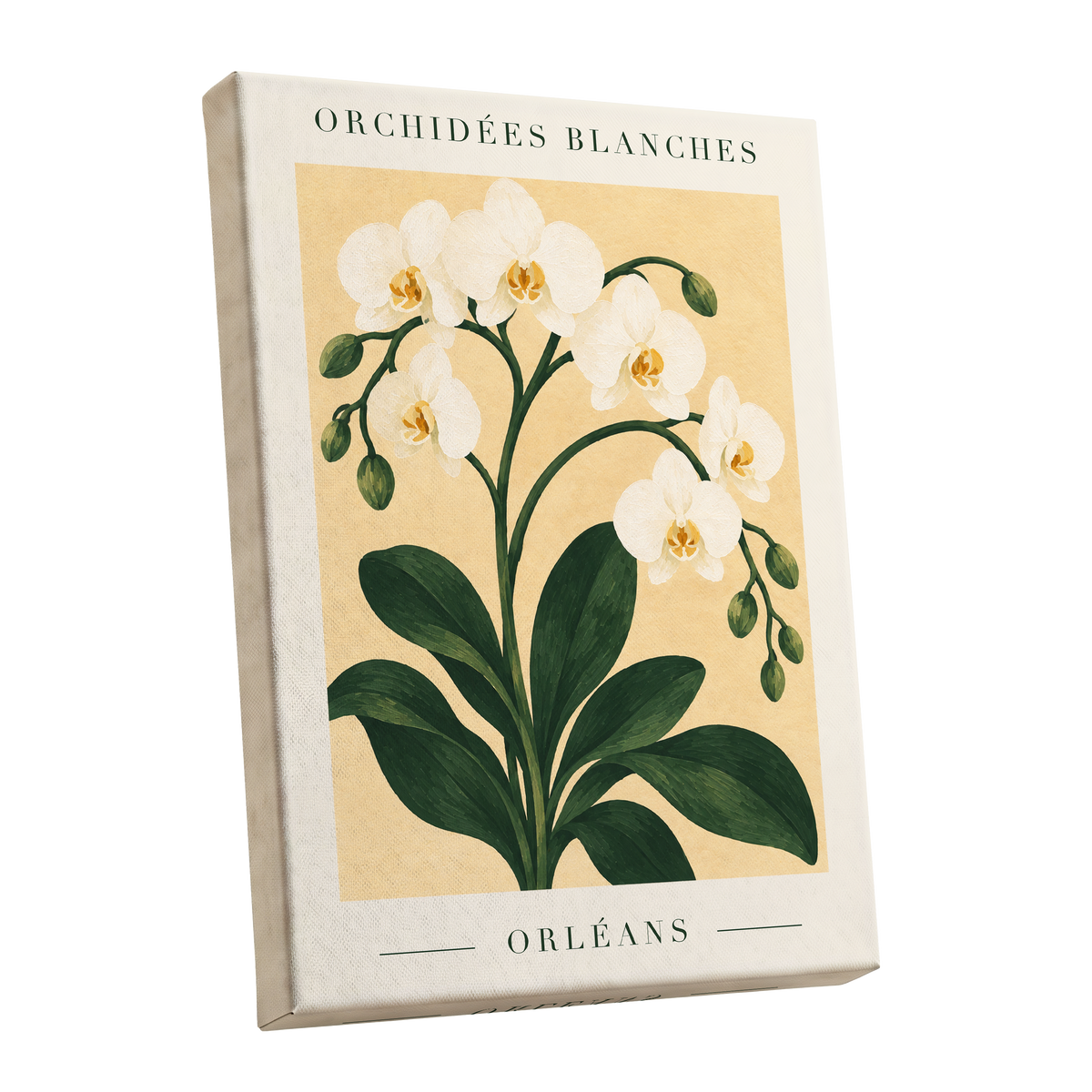 Orléans Orchid Bloom, white, green, beige floral wall art shown as a stretched canvas wall art