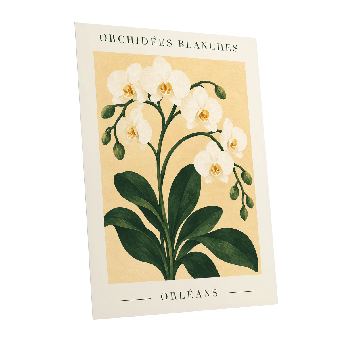Orléans Orchid Bloom, white, green, beige floral wall art shown as a unframed poster wall art print