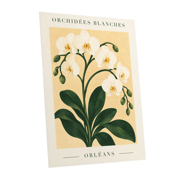 Orléans Orchid Bloom, white, green, beige floral wall art shown as a unframed poster wall art print