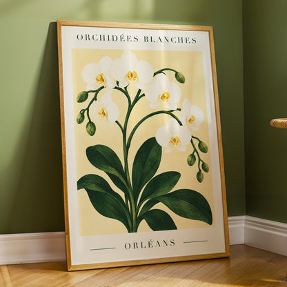 Orléans Orchid Bloom, white, green, beige floral wall art displayed in a styled interior, gallery view 2