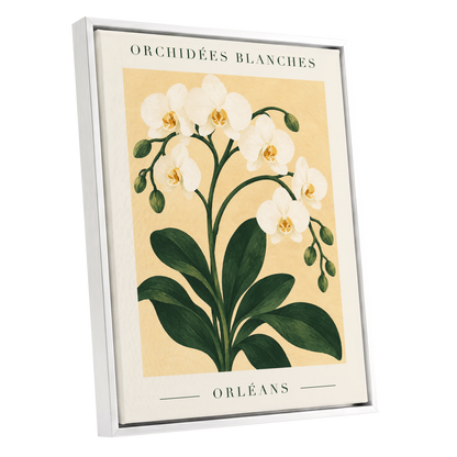 Orléans Orchid Bloom, white, green, beige floral wall art shown as a white framed canvas wall art