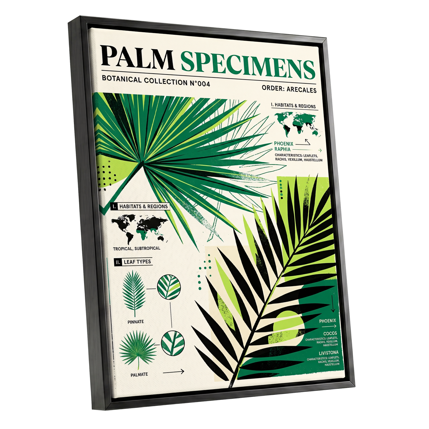 Palm Specimen Archive, green, black, beige nature wall art shown as a black framed canvas wall art
