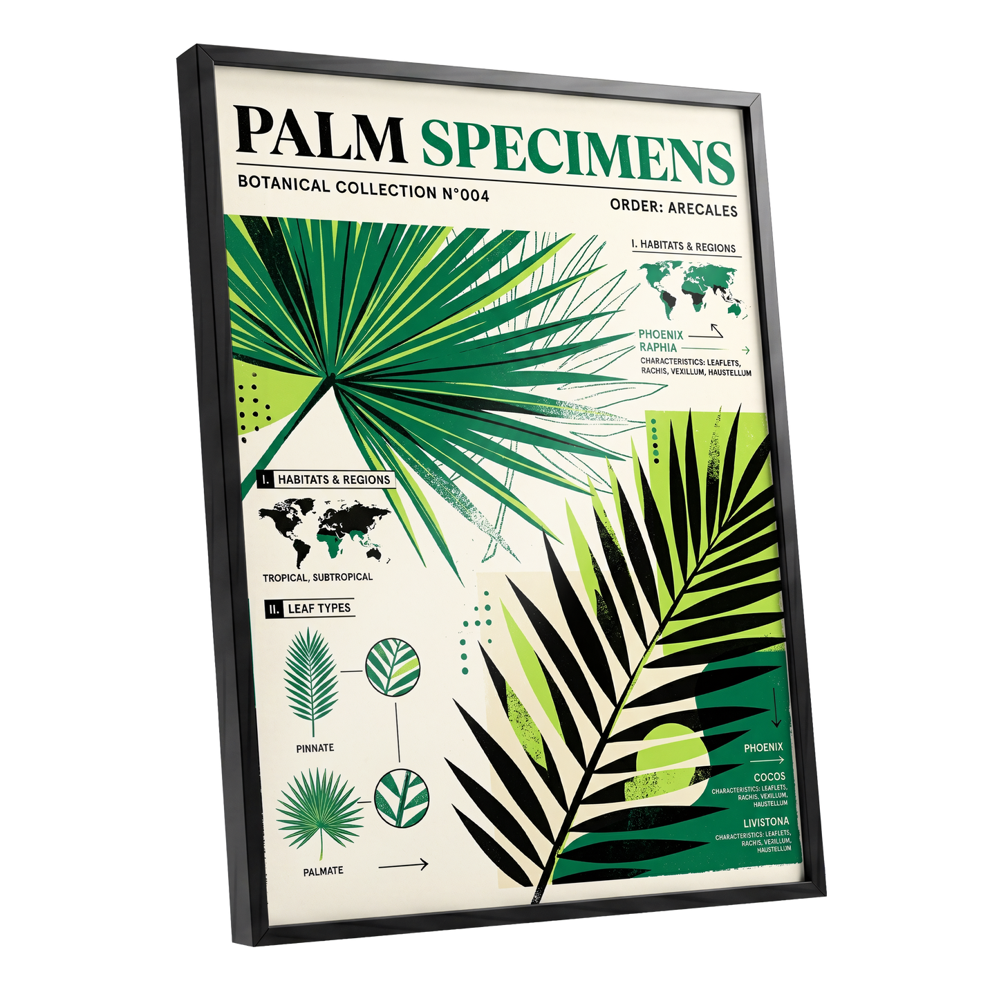 Palm Specimen Archive, green, black, beige nature wall art shown as a black framed poster wall art print