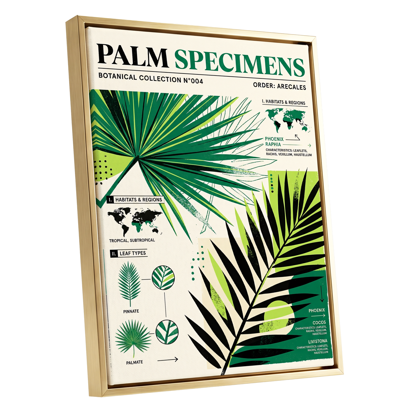 Palm Specimen Archive, green, black, beige nature wall art shown as a gold framed canvas wall art