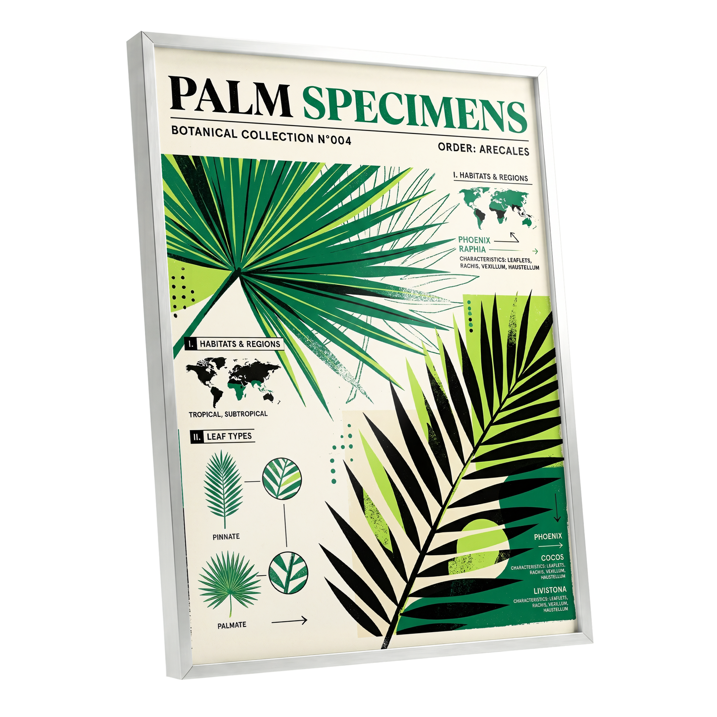 Palm Specimen Archive, green, black, beige nature wall art shown as a silver framed poster wall art print