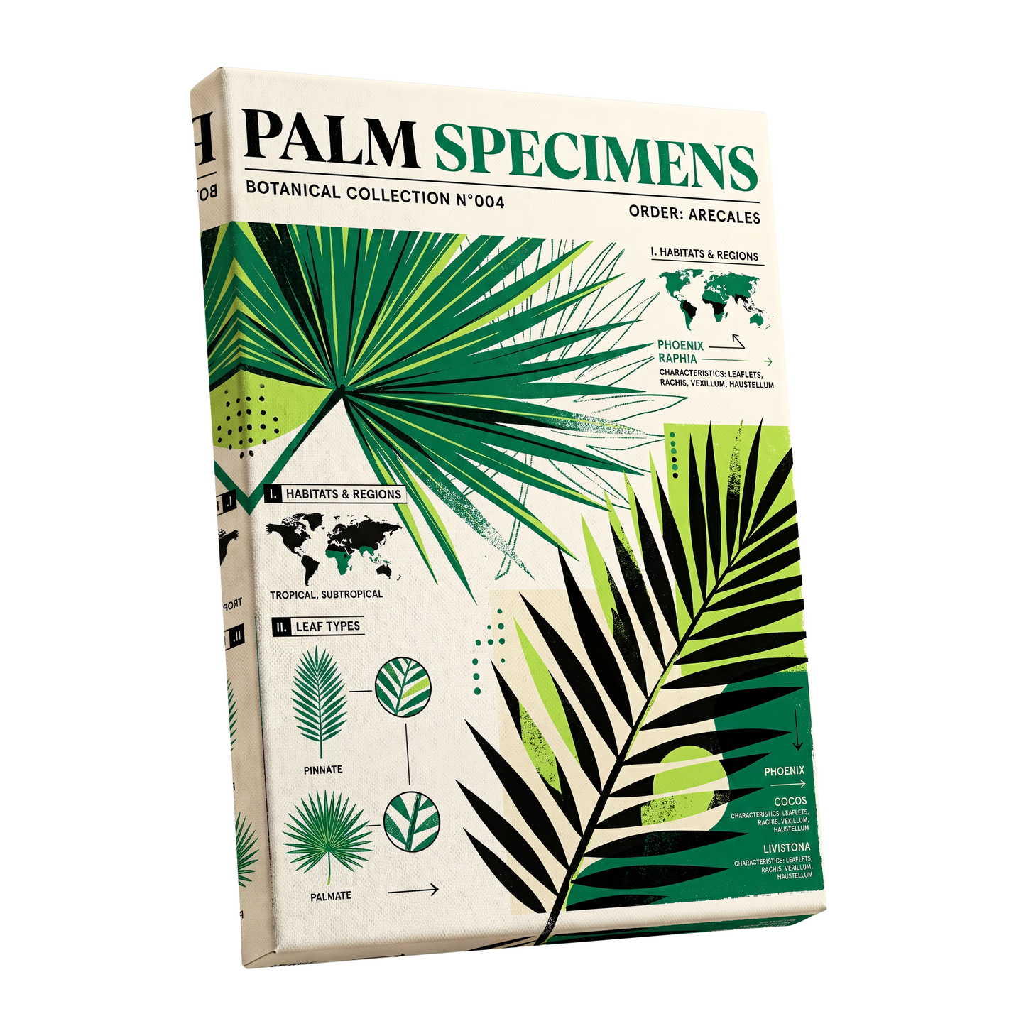 Palm Specimen Archive, green, black, beige nature wall art shown as a stretched canvas wall art