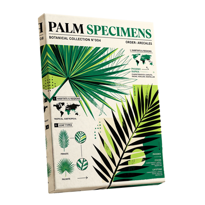 Palm Specimen Archive, green, black, beige nature wall art shown as a stretched canvas wall art