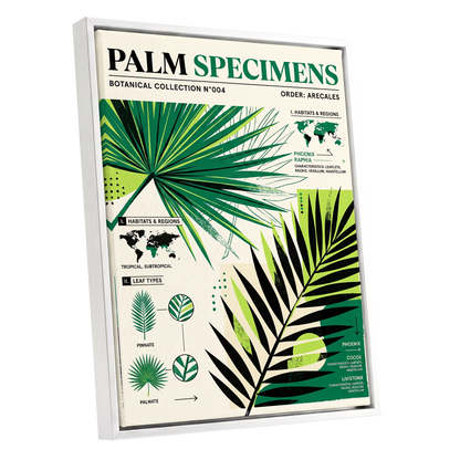 Palm Specimen Archive, green, black, beige nature wall art shown as a white framed canvas wall art