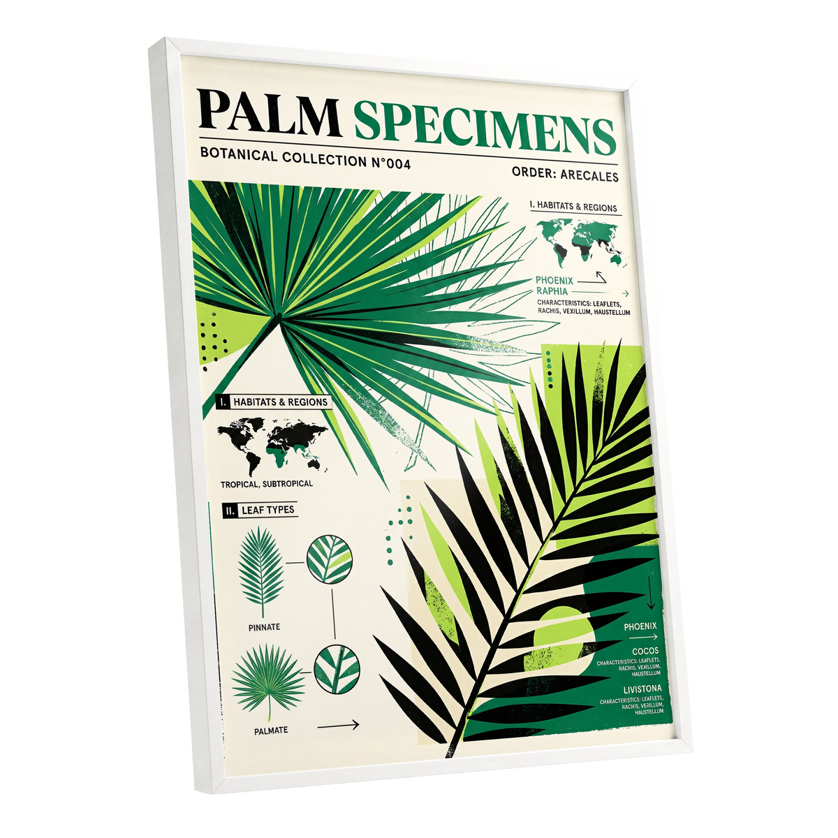 Palm Specimen Archive, green, black, beige nature wall art shown as a white framed poster wall art print