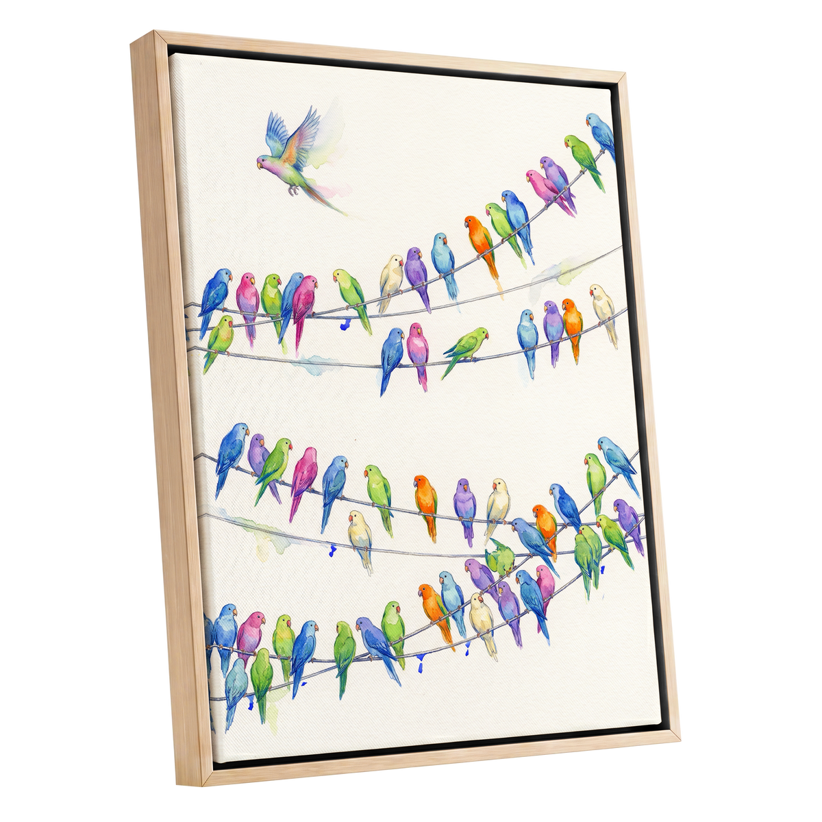 Parakeet Parade, multicolor, white, blue nature wall art shown as a oak framed canvas wall art