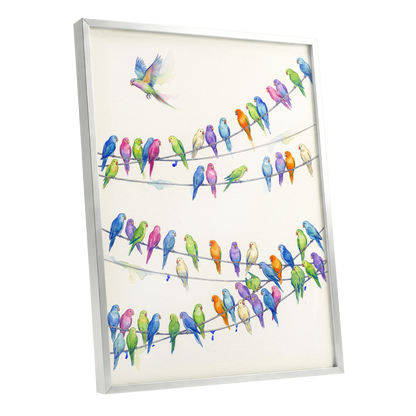 Parakeet Parade, multicolor, white, blue nature wall art shown as a silver framed poster wall art print