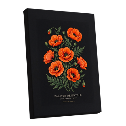 Poppies After Dark, black, green, orange floral wall art shown as a stretched canvas wall art