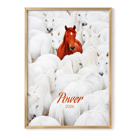 Power in the Crowd, white, orange, red nature wall art, front artwork view