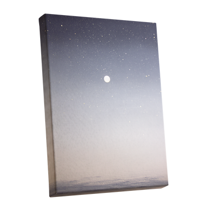 Quiet Orbit, gray, white, gold nature wall art shown as a stretched canvas wall art