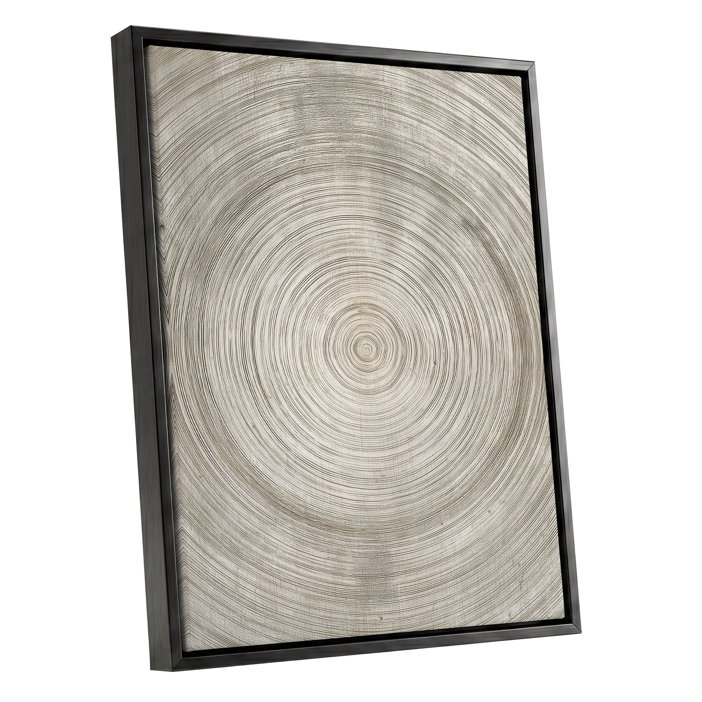 Quiet Rings, beige, brown, gray nature wall art shown as a black framed canvas wall art