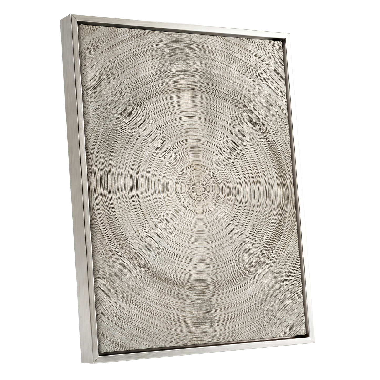 Quiet Rings, beige, brown, gray nature wall art shown as a silver framed canvas wall art