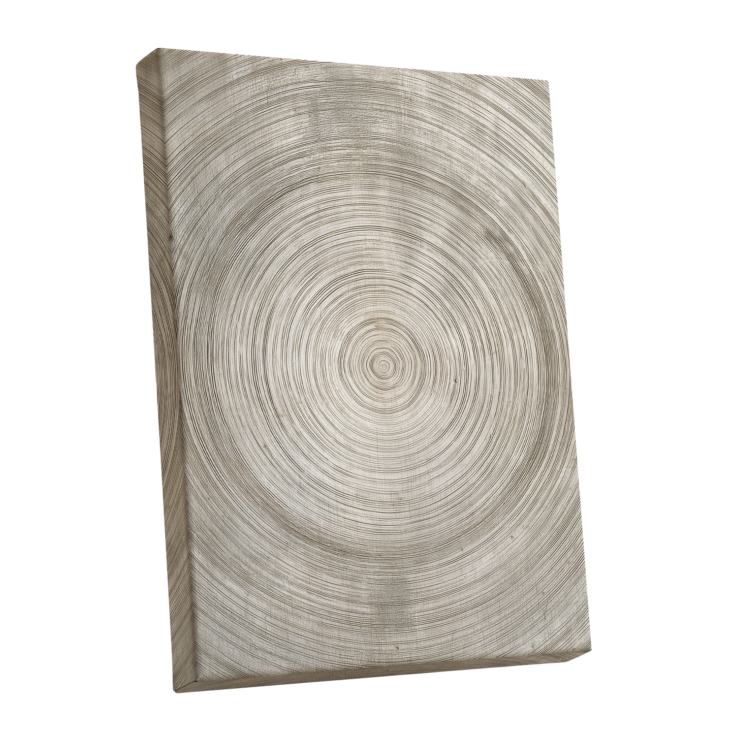 Quiet Rings, beige, brown, gray nature wall art shown as a stretched canvas wall art