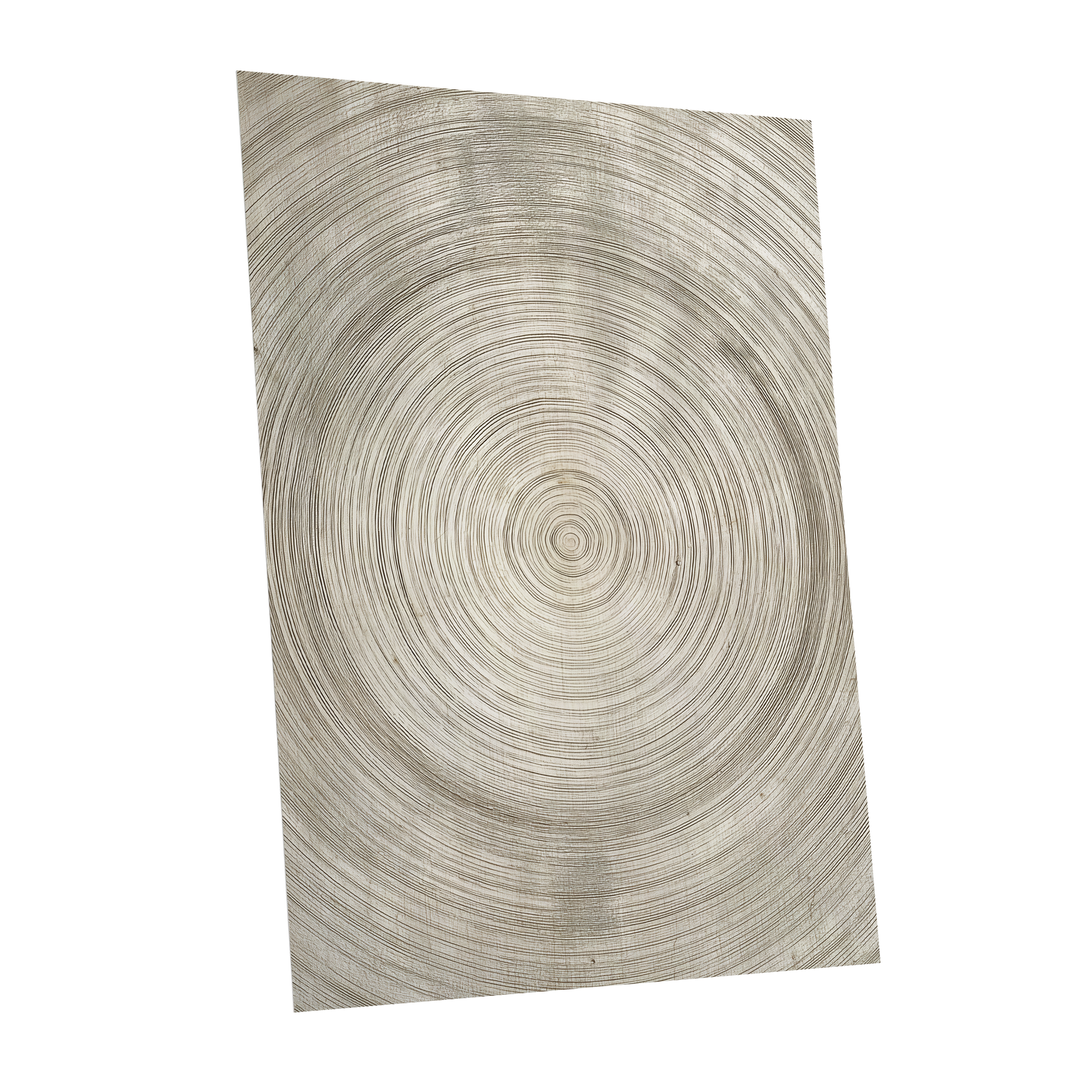 Quiet Rings, beige, brown, gray nature wall art shown as a unframed poster wall art print