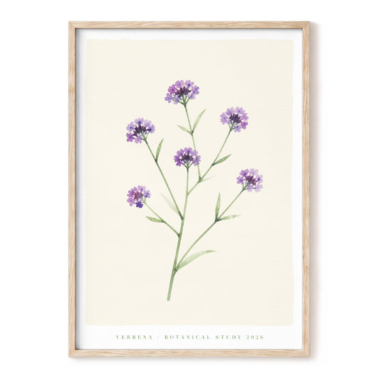 Quiet Verbena Study, purple, green, beige floral wall art, front artwork view