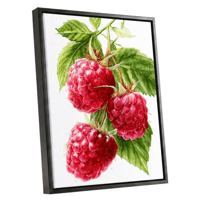 Raspberry Cascade – black framed canvas option