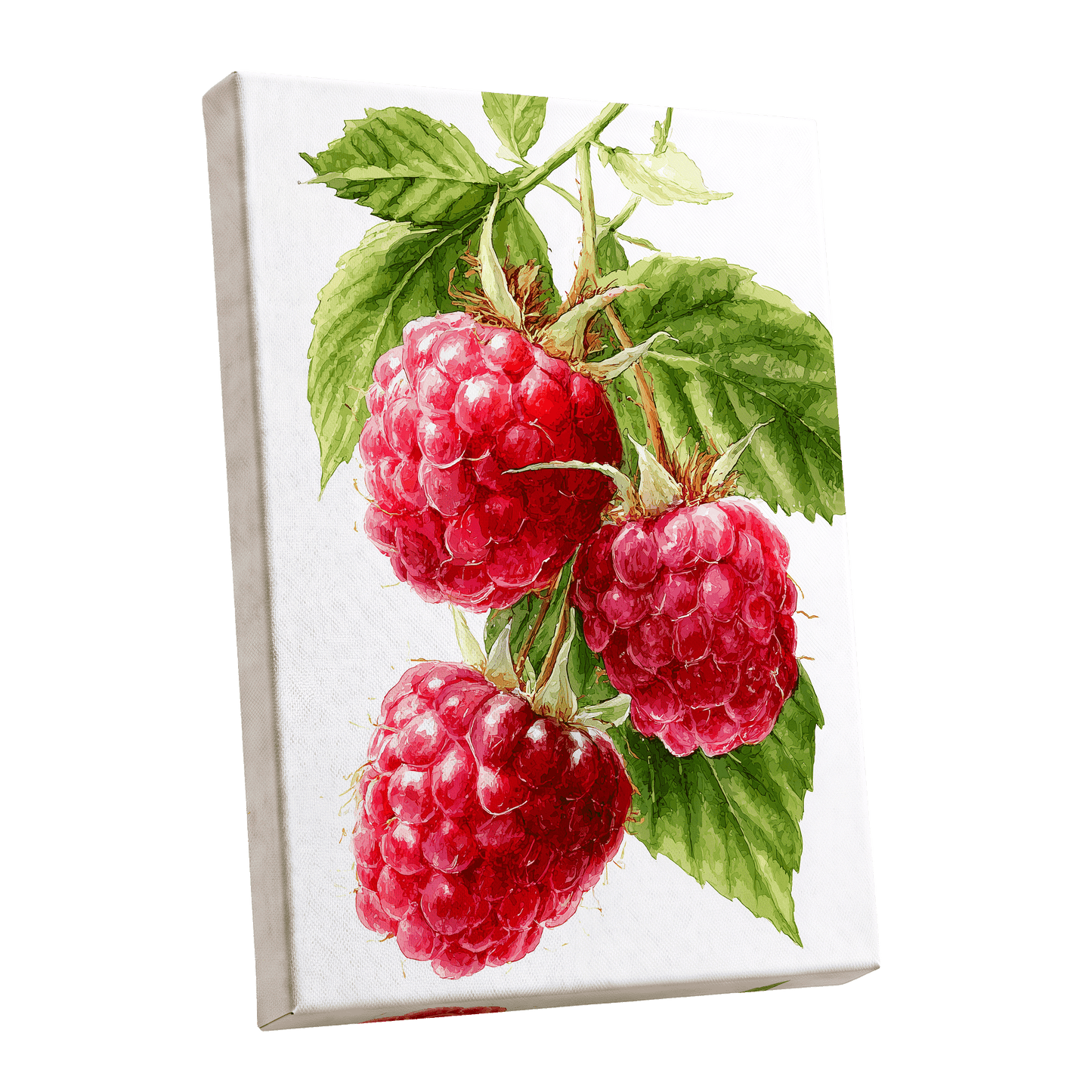Raspberry Cascade – stretched canvas option