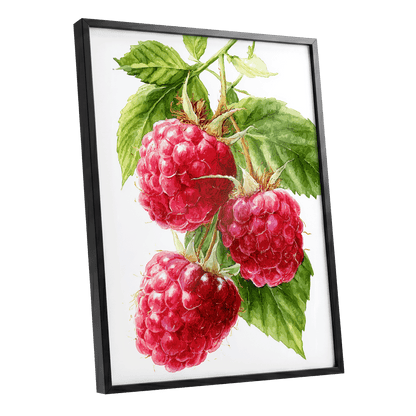 Raspberry Cascade – black framed poster option