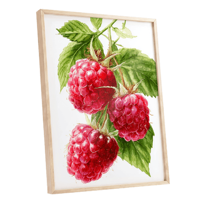 Raspberry Cascade – oak framed poster option