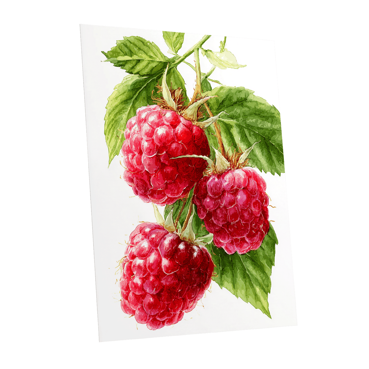 Raspberry Cascade – unframed poster option