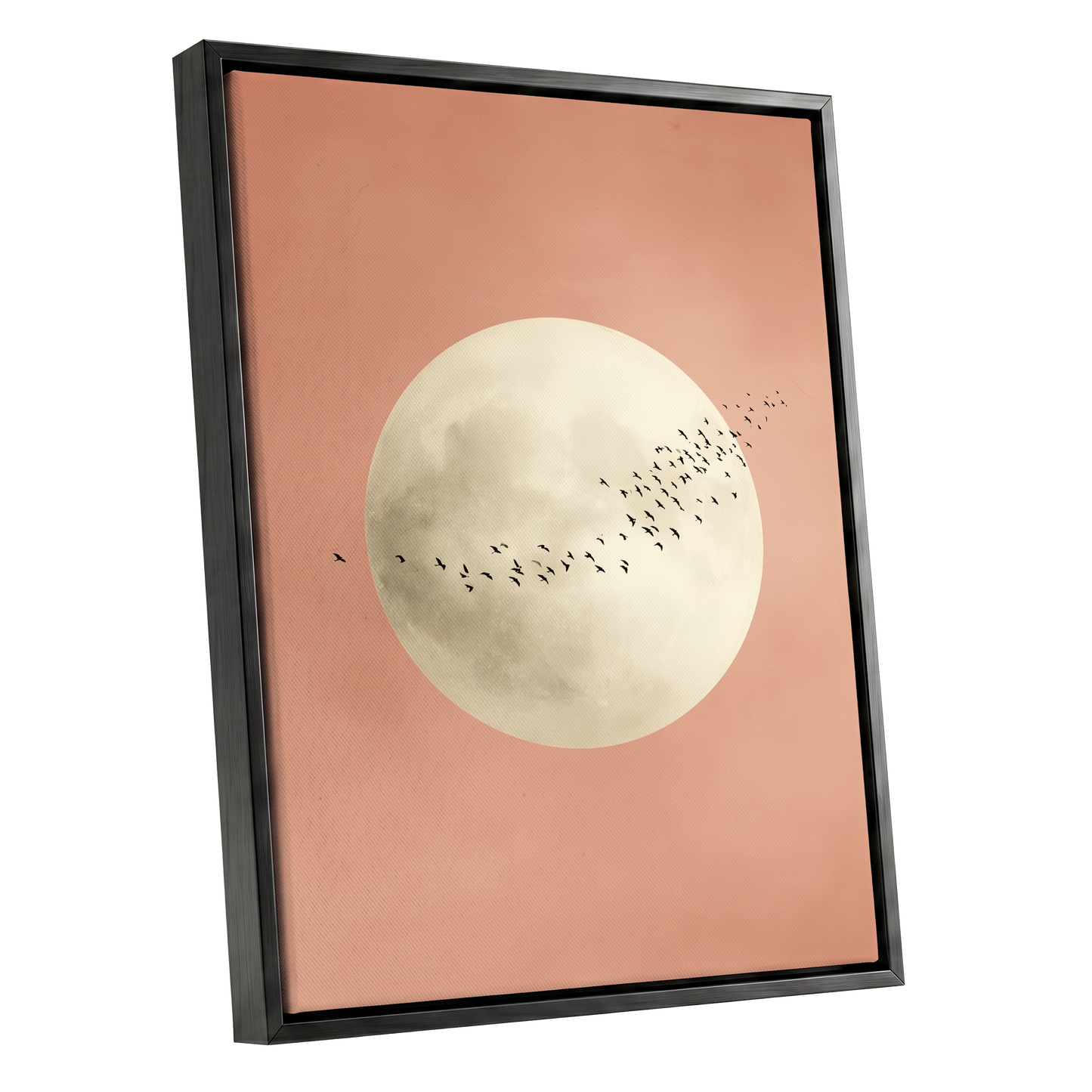 Rose Moon Migration, pink, white, black nature wall art shown as a black framed canvas wall art